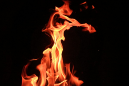 Cashew orchard goes up in smoke  at Bhironda