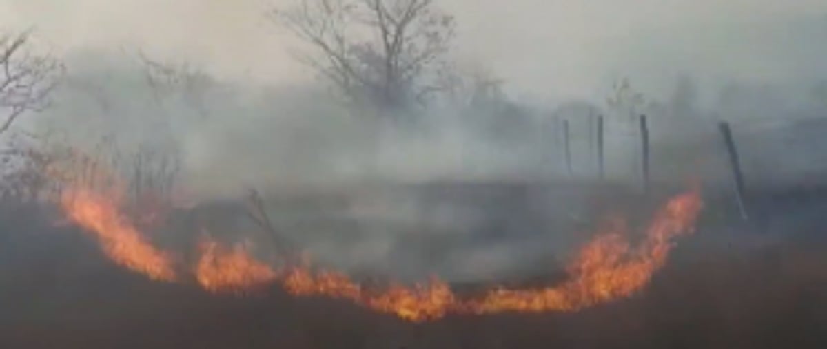 Cashew orchard gutted at Dhargalim