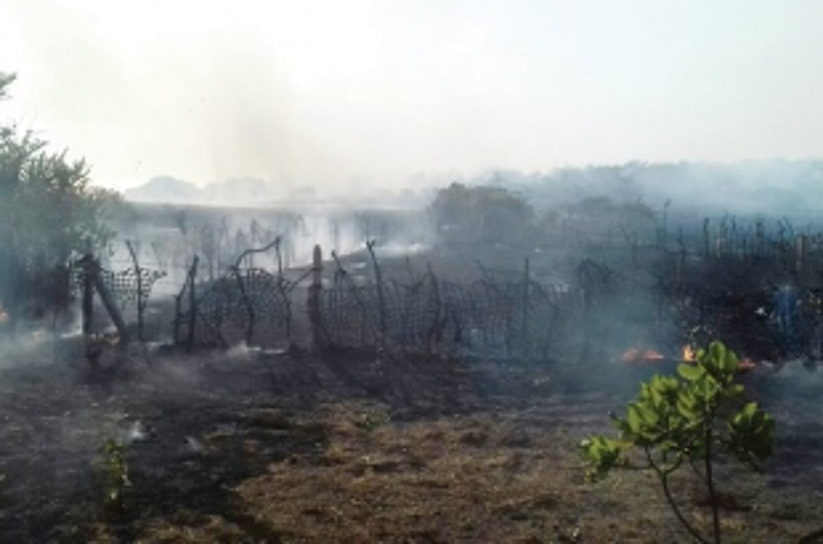 Cashew plantation set ‘ablaze’ in Tiracol