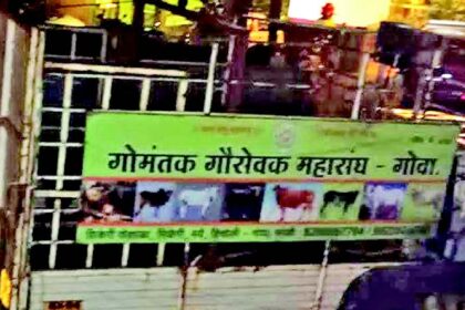 Cattle lifted and shifted from Sodiem-Siolim