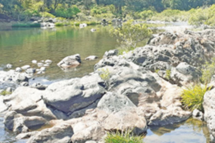 Caught napping again, Goa govt seeks clarification from Centre over Mahadayi Hydro Power project