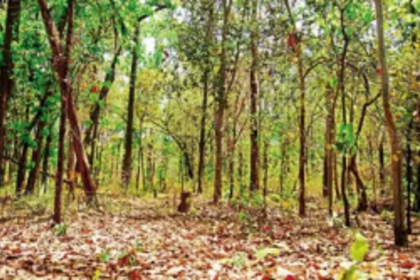 Caurem-Pirla villagers resolve to oppose  diversion of forest land for mining