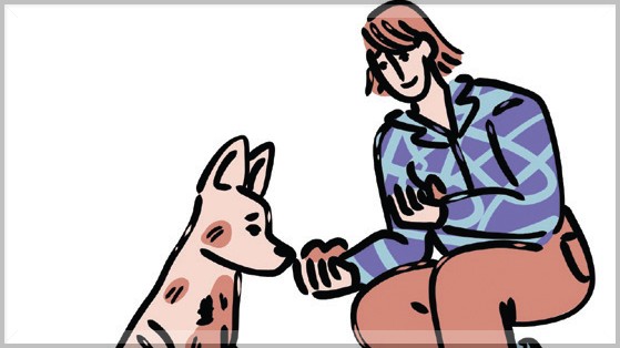Cavelossim Panchayat Urges Government Action After Tourist Attacked by Stray Dogs on Mobor Beach
