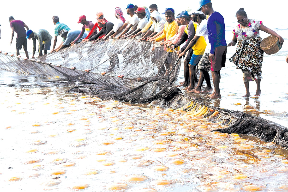 Cavelossim fishers raise alarm over ‘fish famine’ as stocks dwindle