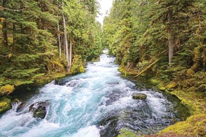 Celebrating the vital role of rivers
on World Rivers Day