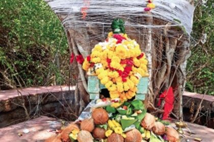 Celebration under the sacred banyan tree