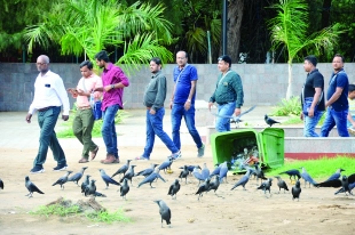 Central Pollution Control Board report exposes disease-causing pollution on Goa’s beaches