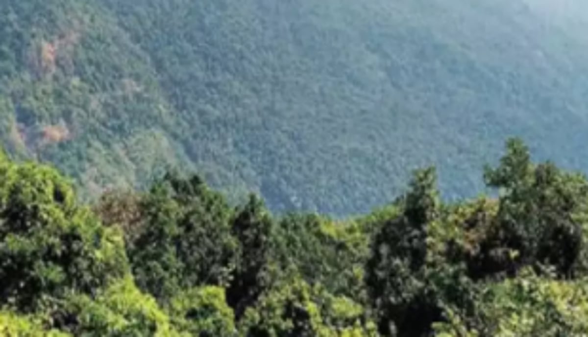 Centre identifies two potential  eco-tourism sites in State