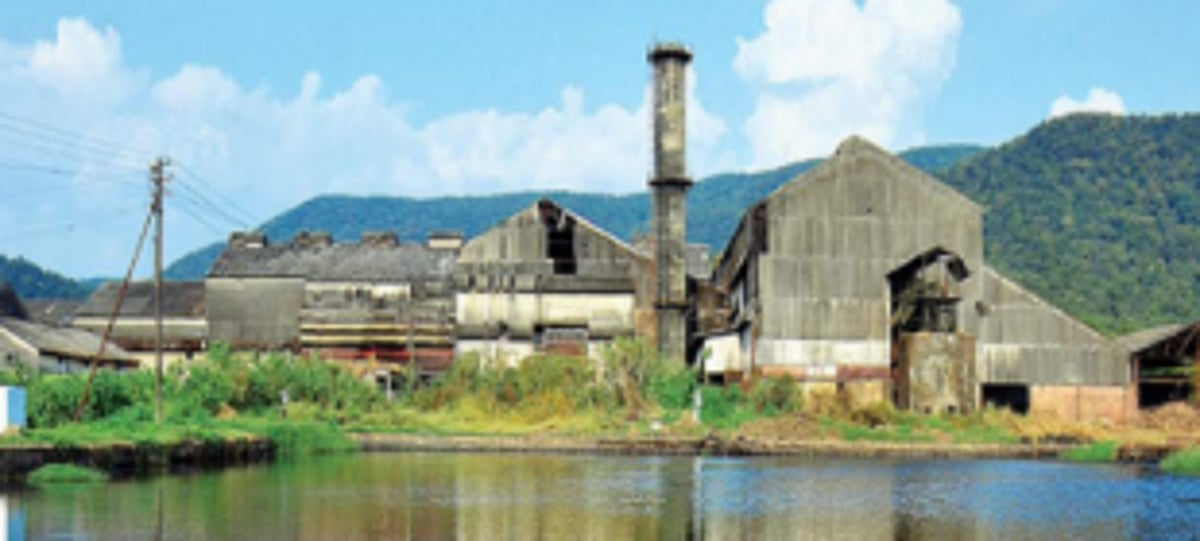 Chalk out plans for Sanjivani’s survival: Sugarcane farmers