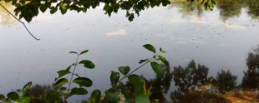 Chandel local falls in water canal, dies