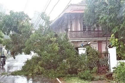 Chandor feels cyclone’s fury