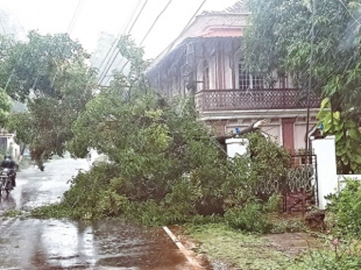 Chandor feels cyclone’s fury