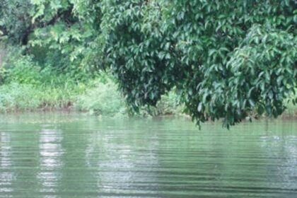 Chandor resolves to revive water channels under Jal Shakti Abhiyan