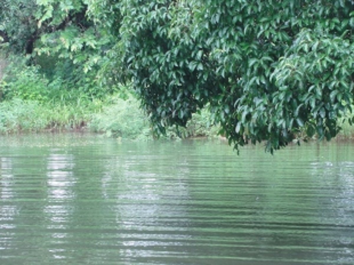 Chandor resolves to revive water channels under Jal Shakti Abhiyan