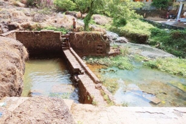 Chandrashekhar Benkar, Martin Carrasco lose their chances to re-contest