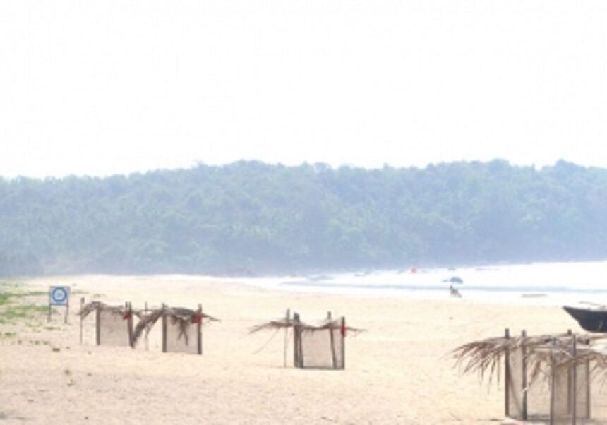 Change laws for conservation of turtles: Greens