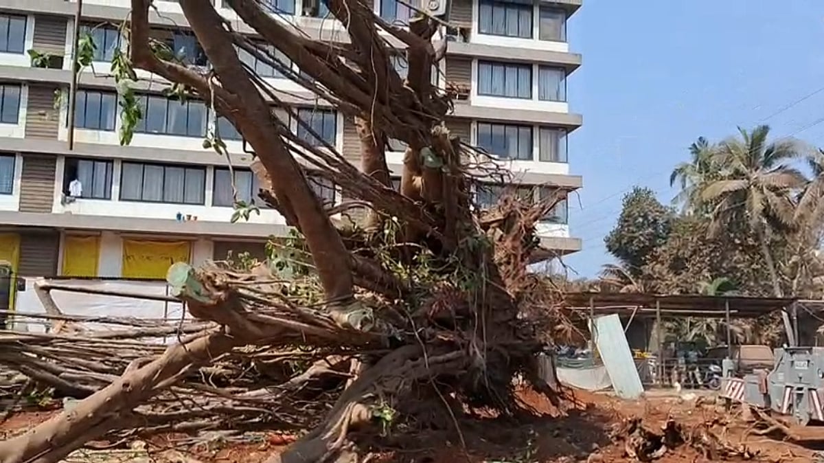 Chaos in Porvorim as Sacred Banyan Tree Uprooted and Khapreshwar Shrine Demolished by Authorities