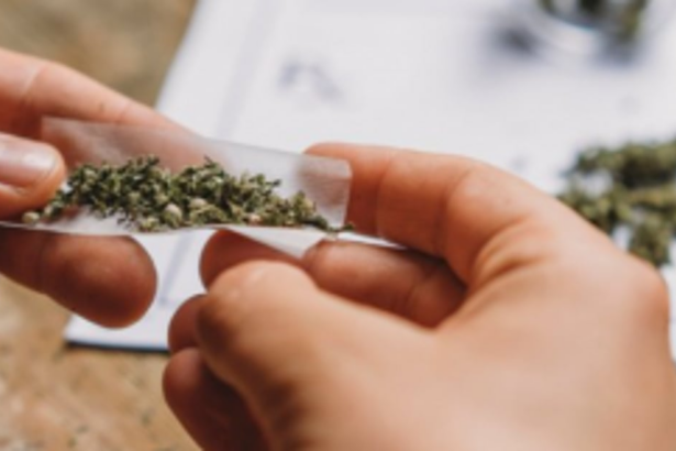 Charas and ganja worth   Rs 70k seized   at Arambol