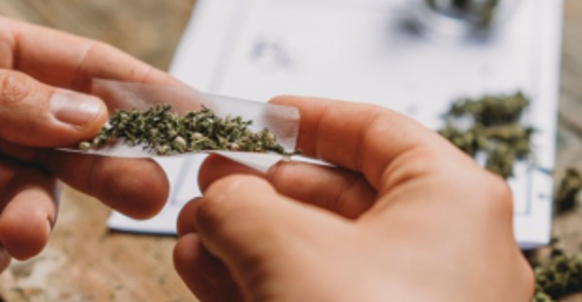Charas and ganja worth   Rs 70k seized   at Arambol