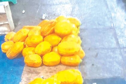 Check rampant use of Ethapone on fruits at Mapusa Agri yard