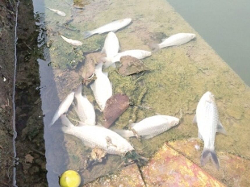 Check water quality, prepare detailed analysis: MMC to GSPCB 1 Check water quality, prepare detailed analysis: MMC to GSPCB