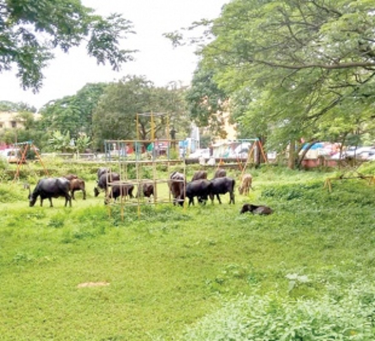Chicalim Children’s Park  crying for beautification