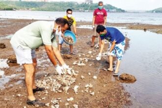 Chicalim bio-crusaders take initiative to preserve oysters