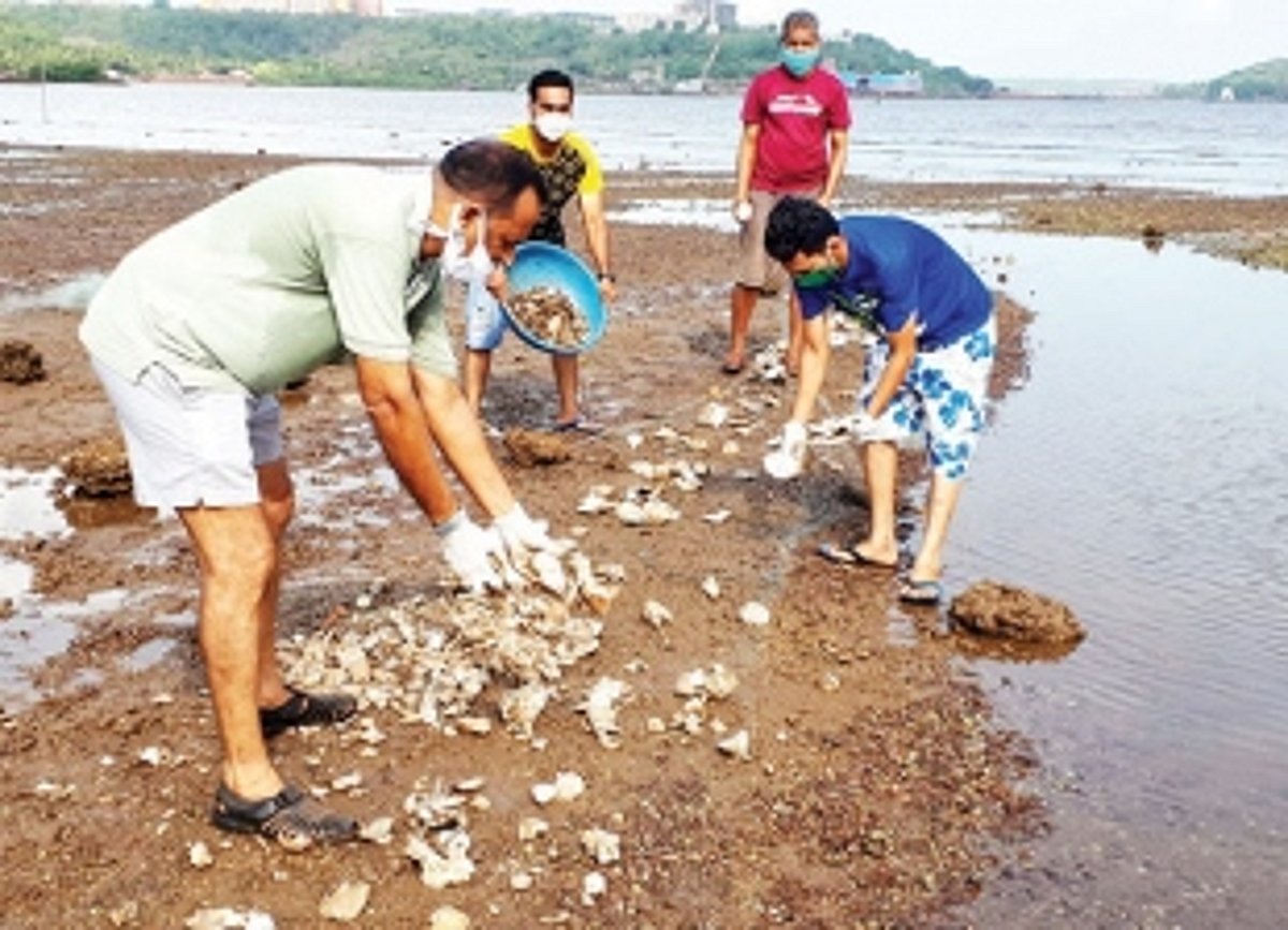 Chicalim bio-crusaders take initiative to preserve oysters