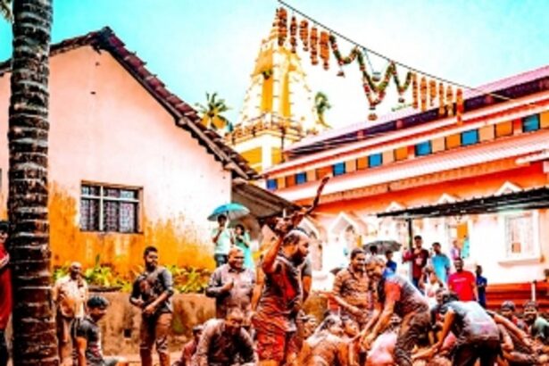 Chikhal Kalo - The traditional mud festival of Goa