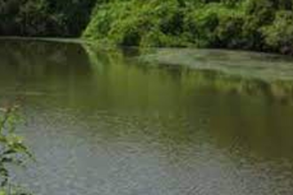 Chimbel Manch urges MLA to  fulfill promise of WTP on lake