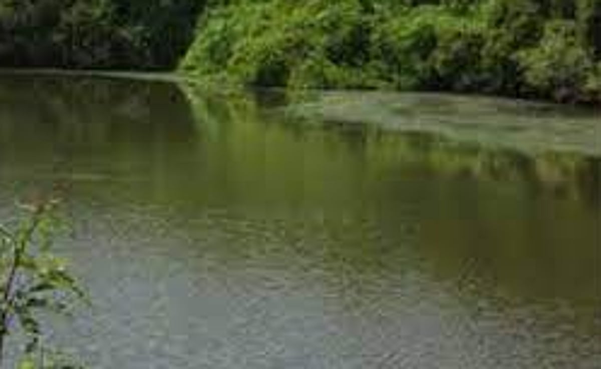 Chimbel Manch urges MLA to  fulfill promise of WTP on lake