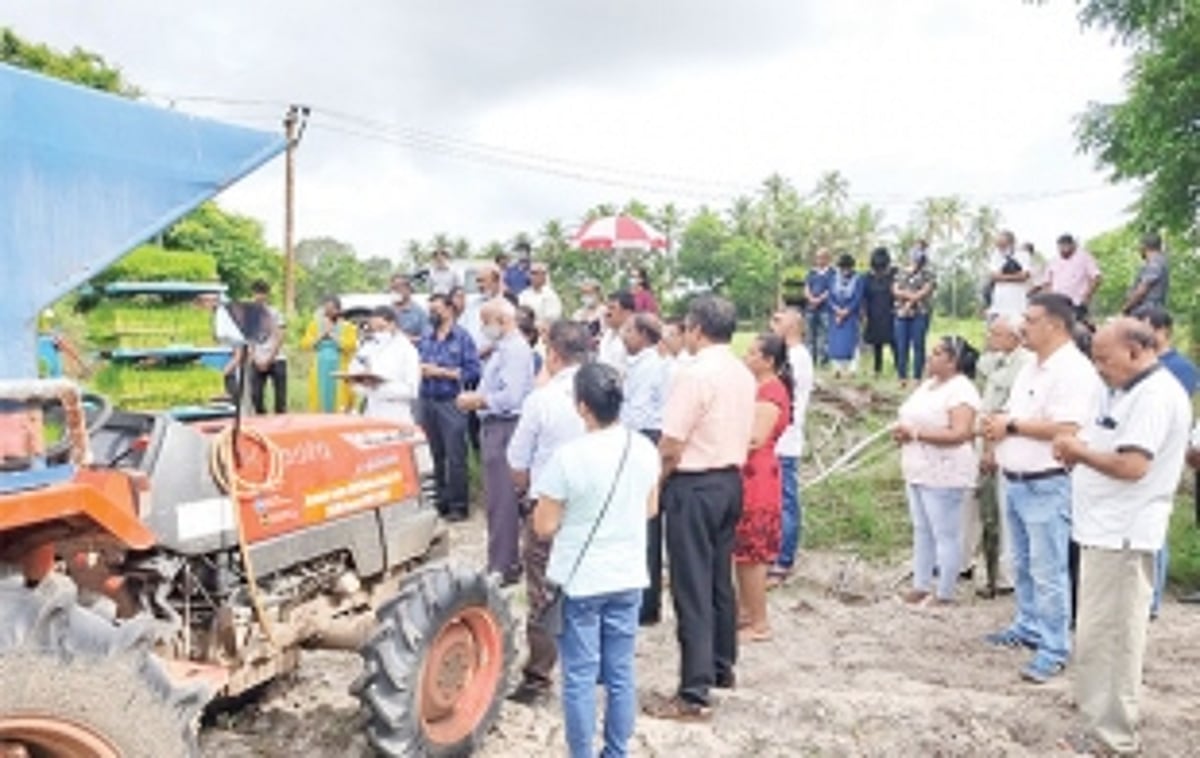 Chinchinim Comunidade initiates large scale community farming