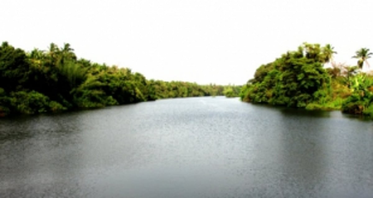 Chinchinim-Deussua Panchayat  against desilting of River Sal