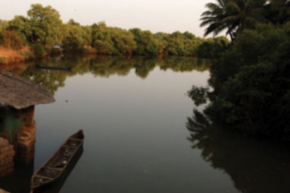 Chinchinim bundhs survey conducted