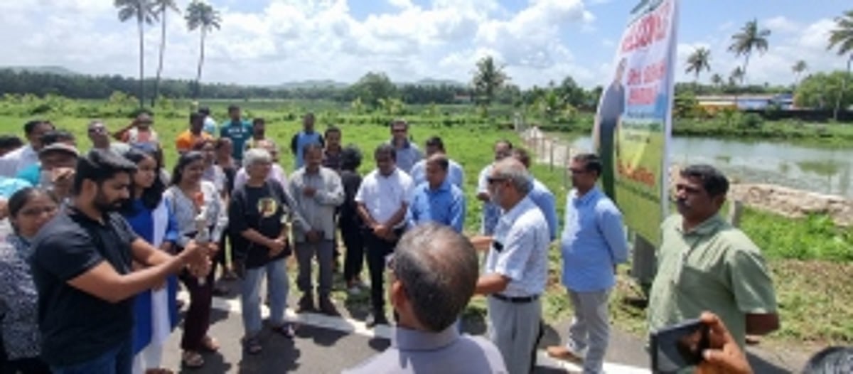 Chinchinim farmers to bring in additional  15 ha of fallow land under paddy cultivation