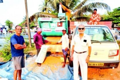 Chinchinim ryots celebrate end of 30-year harvest hiatus with bumper paddy yield