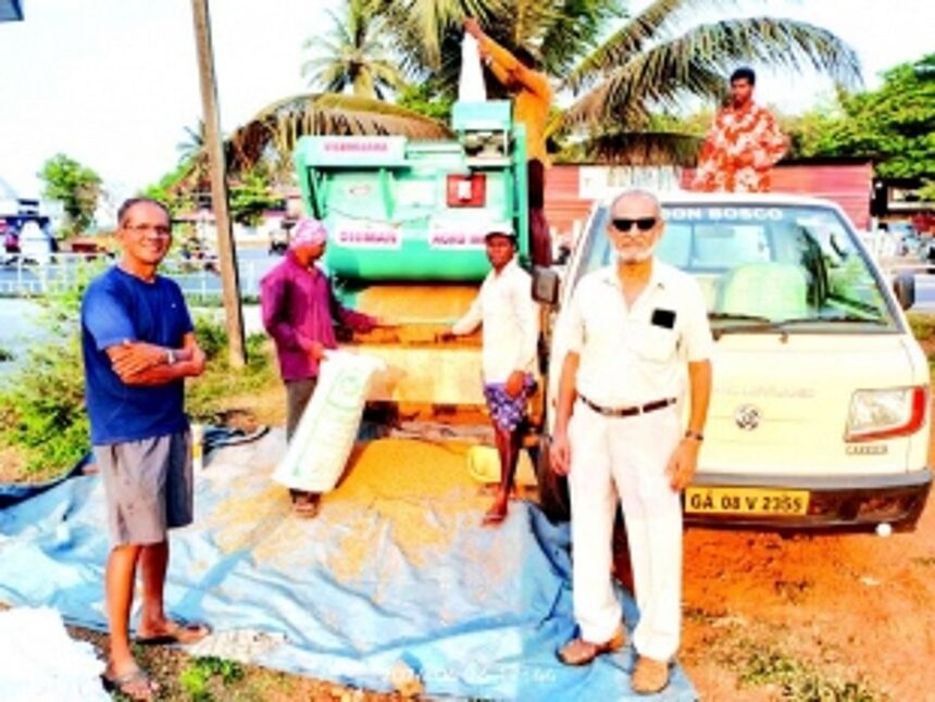 Chinchinim ryots celebrate end of 30-year harvest hiatus with bumper paddy yield 1 Chinchinim ryots celebrate end of 30-year harvest hiatus with bumper paddy yield