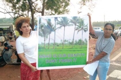 Chipko comes to Goa to save mute coconut trees