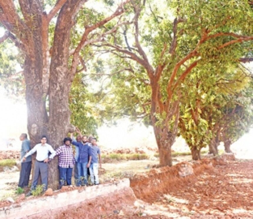 Chipko movement in Colvale to stop trees massacre