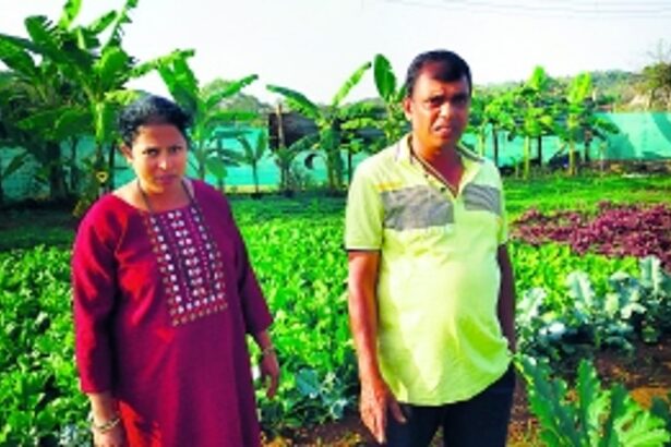 Chiwai-Tuem couple proves the financial viability and beauty of agriculture