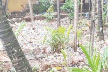 Chocked Ponda nullah fills adjacent plantation with plastic waste
