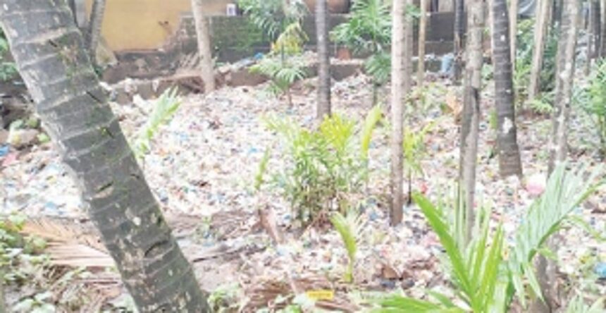 Chocked Ponda nullah fills adjacent plantation with plastic waste