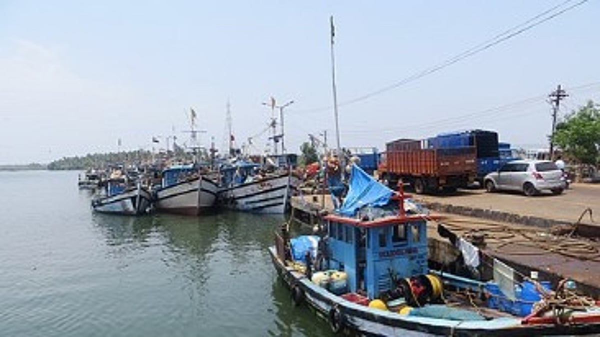Cholera Scare at Cutbona Jetty: 2,275 Screened Under Health Surveillance