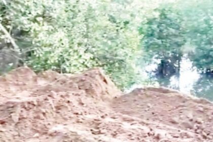 Chopdem Panchayat turns Nelson’s Eye to destruction of mangroves