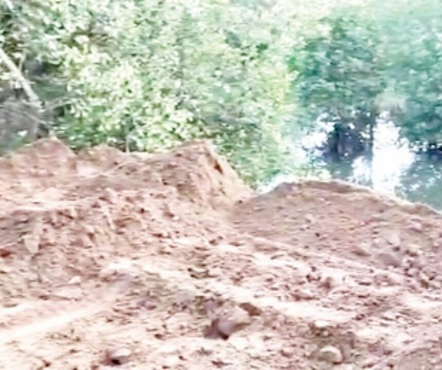 Chopdem Panchayat turns Nelson’s Eye to destruction of mangroves 1 Chopdem Panchayat turns Nelson’s Eye to destruction of mangroves