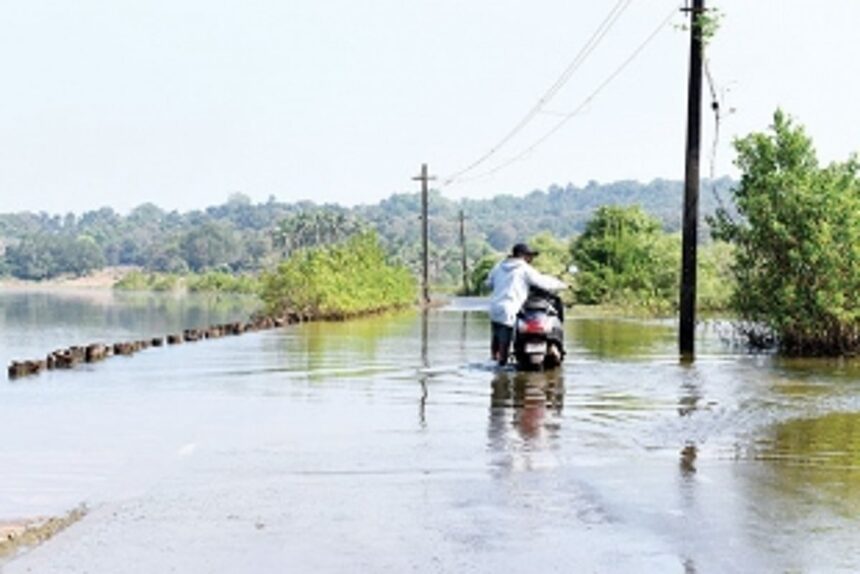 Chorao-Pomburpa residents threaten road blockade if government fails to repair bunds 1 Chorao-Pomburpa residents threaten road blockade if government fails to repair bunds