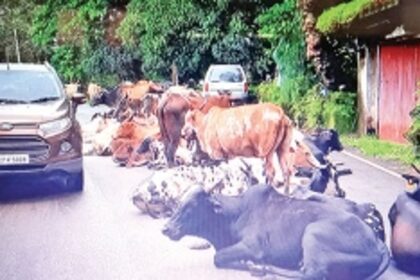 Chorao villagers seek CM’s intervention on issues  plaguing island and to make a model village in State