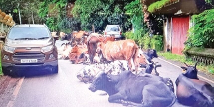 Chorao villagers seek CM’s intervention on issues plaguing island and to make a model village in State