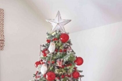 Christmas Lunch In Goa:  A Feast Of Family And Food