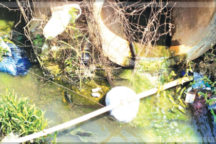 Citizens Demand Action as Untreated Sewage from Hospital Pollutes River Sal and Farmlands